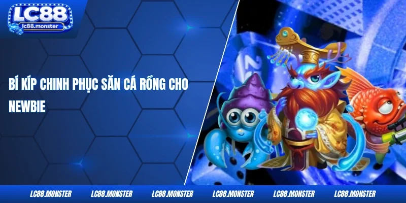 Bí kíp chinh phục săn cá Rồng cho newbie