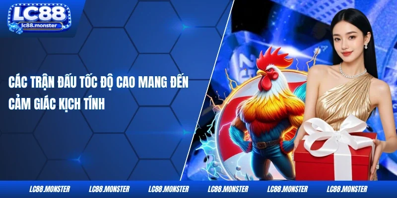 Các trận đấu tốc độ cao mang đến cảm giác kịch tính