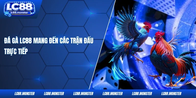 Đá gà LC88 mang đến các trận đấu trực tiếp