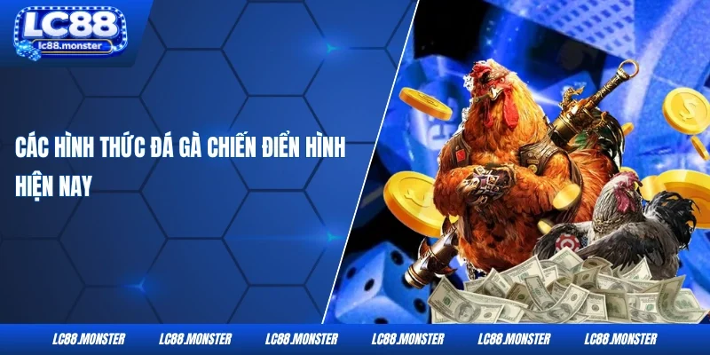 Các hình thức đá gà chiến điển hình hiện nay