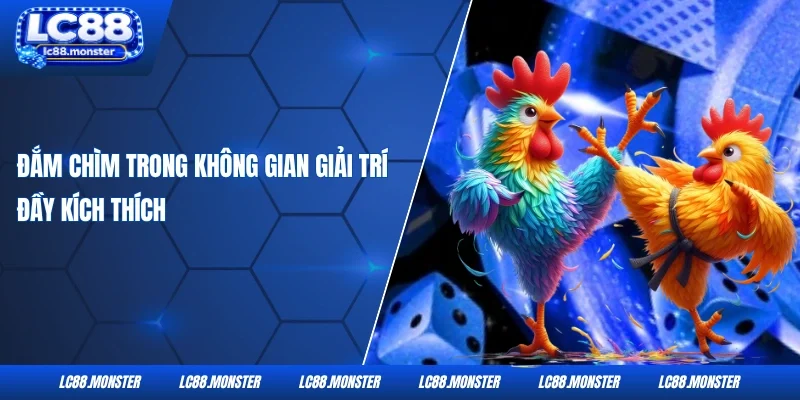 Đắm chìm trong không gian giải trí đầy kích thích