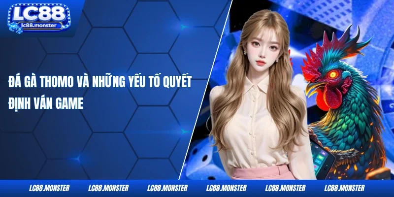 Đá gà Thomo và những yếu tố quyết định ván game
