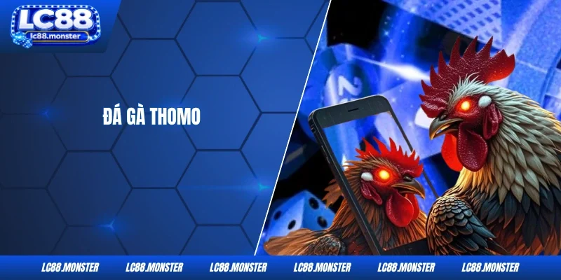 Đá Gà Thomo tại LC88